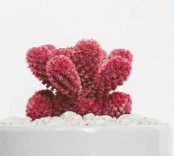 在线短信轰炸机网页版